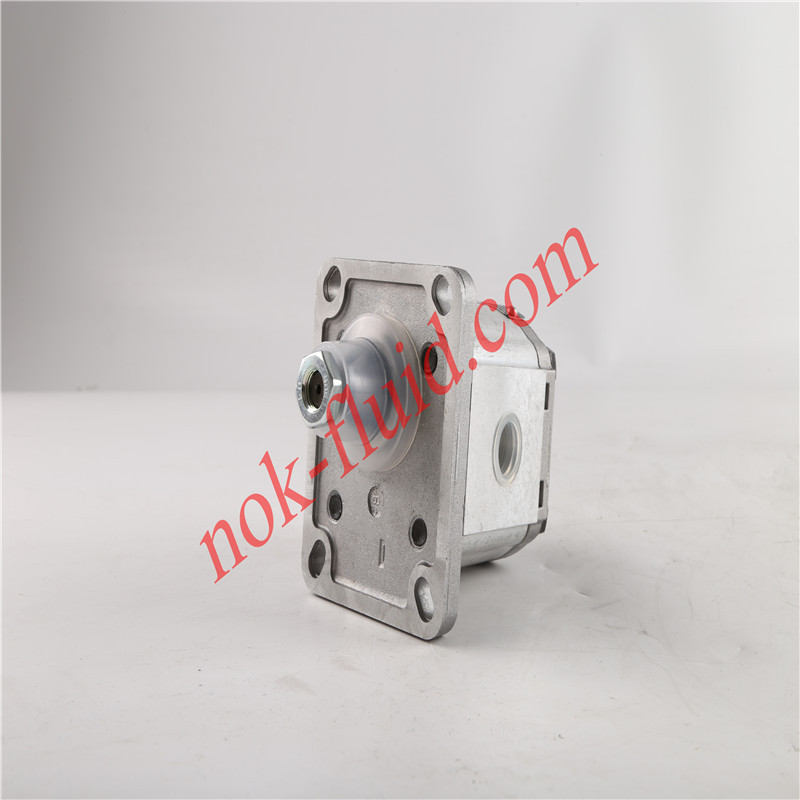 CASAPPA GEAR PUMP  PLP10.6.3S0-29E7-LGC/GC-N-EL-HAW 00375091