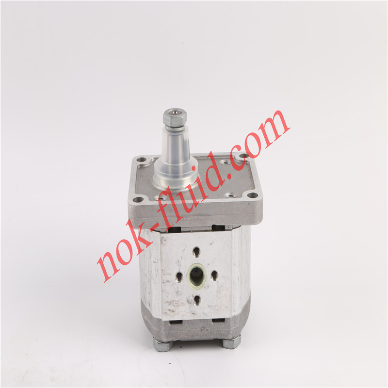 CASAPPA GEAR PUMP  PLP20.6.3D0-82E2-LEA/EA-N-EL-FS 02004639
