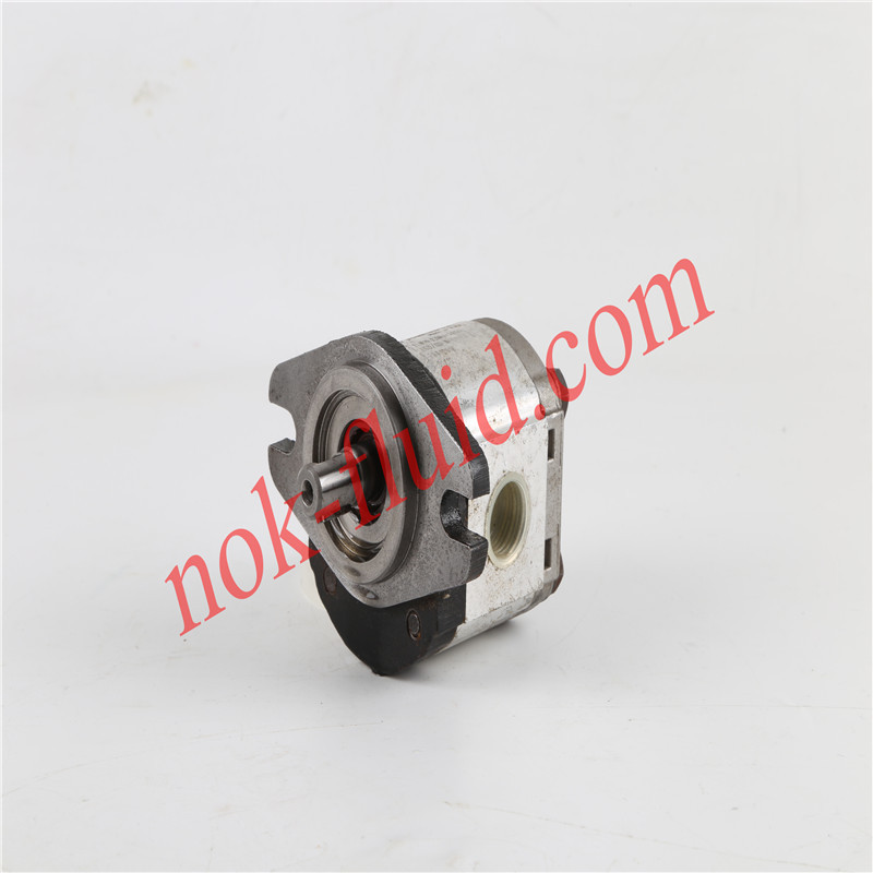 CASAPPA GEAR MOTOR PLM10.2.5R0-30S0-LGD/GD-N-C1-PV-EL-GB-D