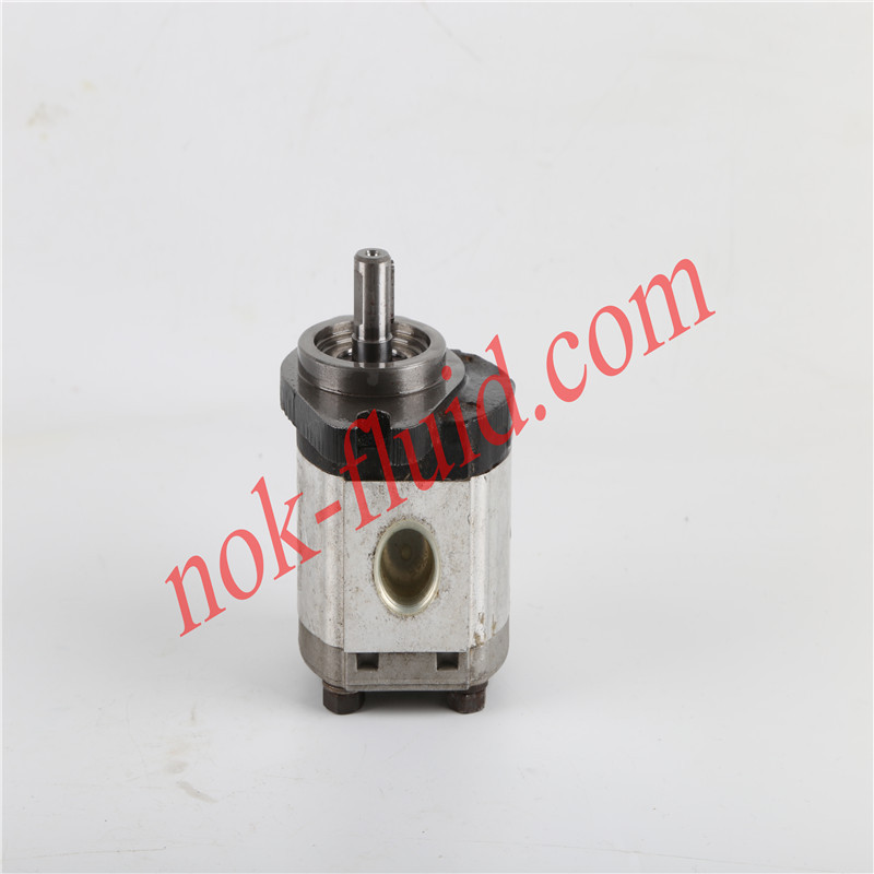 CASAPPA GEAR MOTOR PLM10.2.5R0-30S0-LGD/GD-N-C1-PV-EL-GB-D