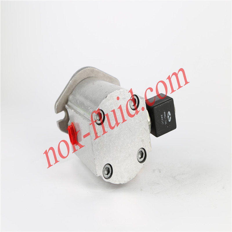 CASAPPA GEAR MOTOR PLM20.23LO-48WC-LTG/TG-N-E-EC/2M/20N