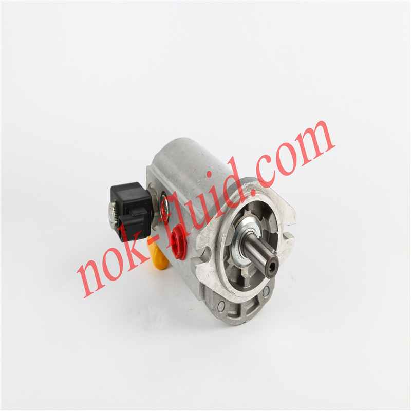 CASAPPA GEAR MOTOR PLM20.23LO-48WC-LTG/TG-N-E-EC/2M/20N