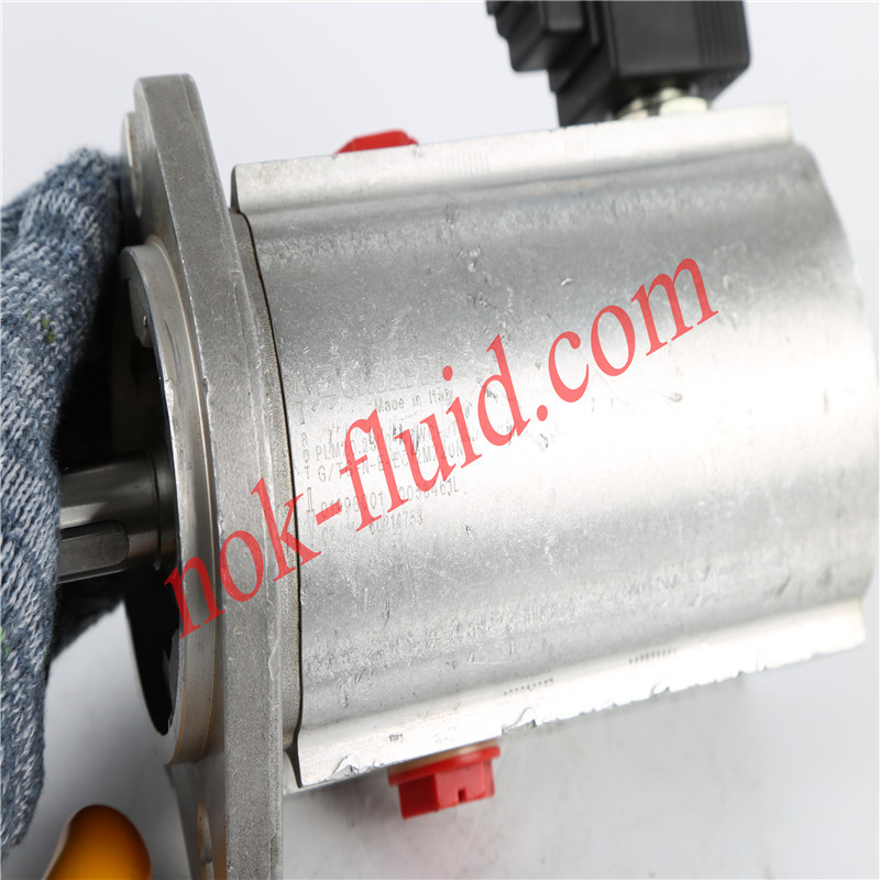CASAPPA GEAR MOTOR PLM20.23LO-48WC-LTG/TG-N-E-EC/2M/20N
