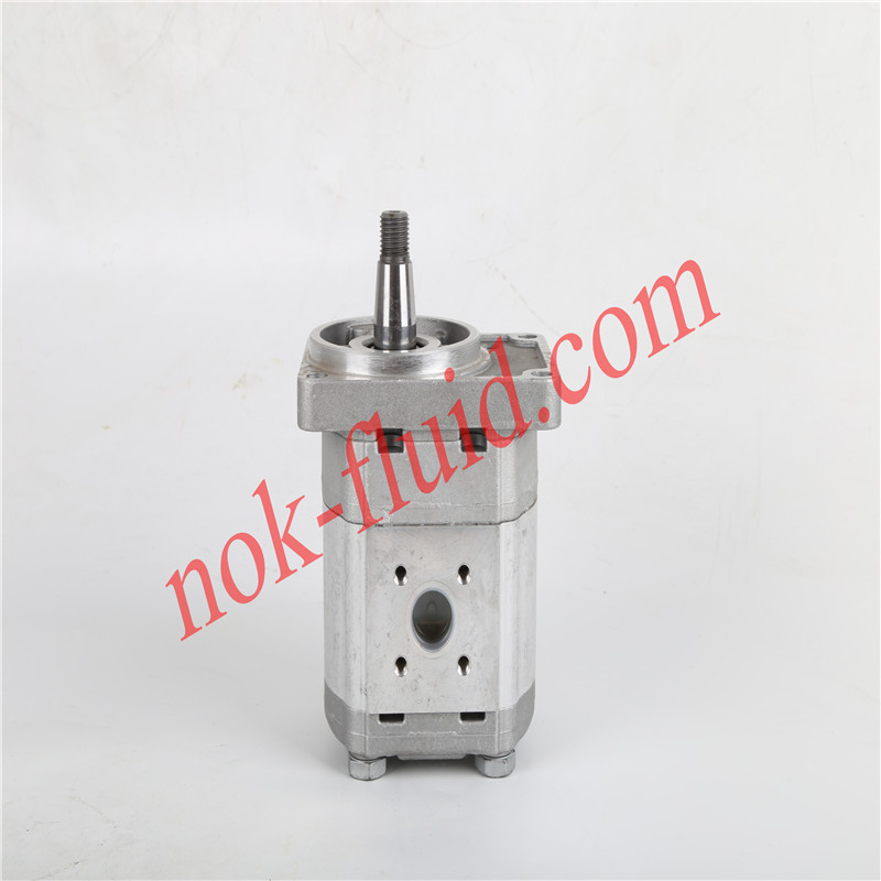 CASAPPA GEAR MOTOR PLM20.9S5-55B2-LBE/BE-N-EL-C