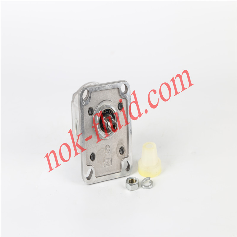 CASAPPA GEAR PUMP PLP10.4S0-29E7-LGC/GC-N-EL（HAW） 00375085