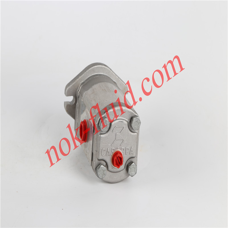 CASAPPA Hydraulic Motor PLM20.20R5-48WC-LTG/TG-N-FS-D-TC-DH(0199806E)