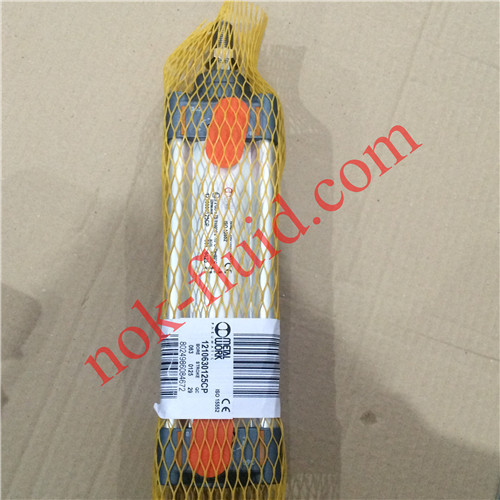 Metalwork Pneumatic Cylinder 1210630125CP