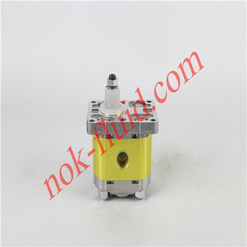 VIVOIL VIVOLO GEAR PUMP X2P4102EBBA 4.2CC-36.5/D-CO001