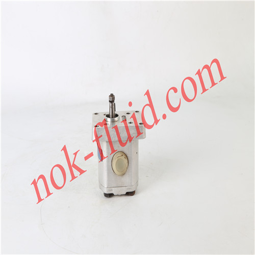 JIHOSTROJ Gear Pump P2-6.2R.11100 1829839