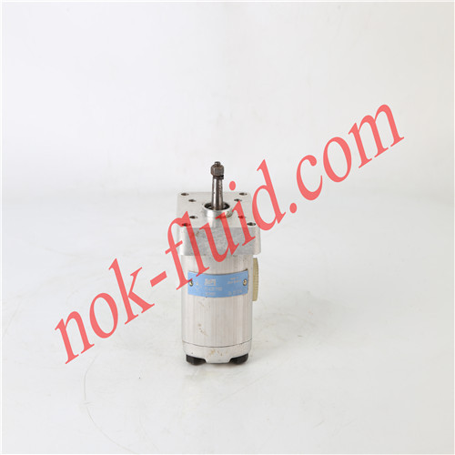 JIHOSTROJ Gear Pump P2-6.2R.11100 1829839