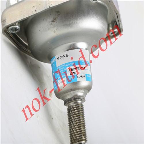 GOPA Air Cylinder ME300-40