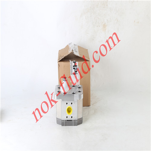 HPI GEAR PUMP P1BAN3040HL10B03N C5078175