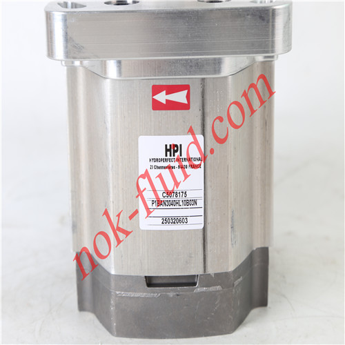 HPI GEAR PUMP P1BAN3040HL10B03N C5078175