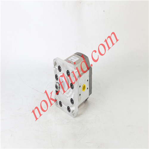 HPI GEAR PUMP P1BAN3040HL10B03N C5078175
