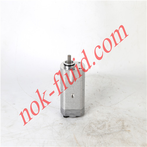 JIHOSTROJ GEAR PUMP P23-6,2L-A03D01-CG02P01-N.010 1879023
