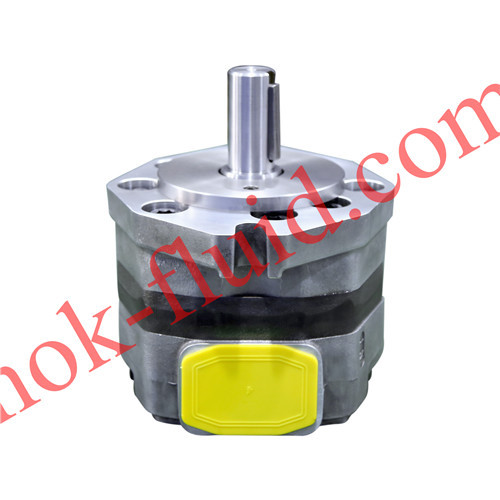 INTEGRAL HYDRAULIK Hydraulic Pump PT5-100