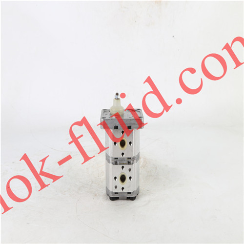 BONDIOLI & PAVESI Gear Pump HPLPB119DDDE3E3BDI