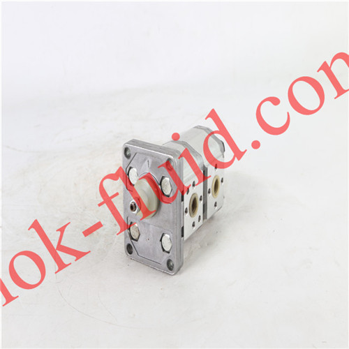 BONDIOLI & PAVESI Gear Pump HPLPB119DDDE3E3BDI