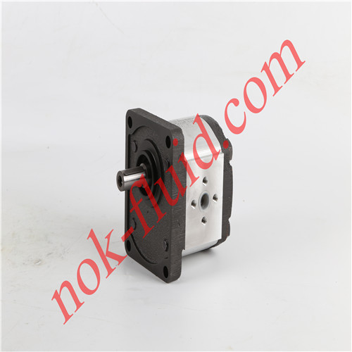 RONZIO GEAR PUMP 02ZAG04E032D