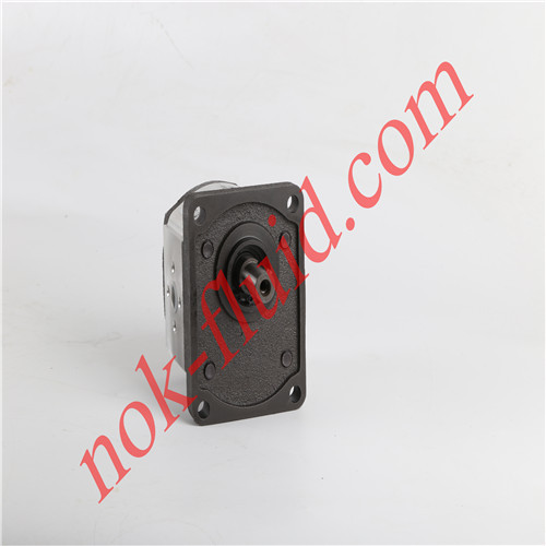 RONZIO GEAR PUMP 02ZAG04E032D