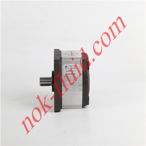 RONZIO GEAR PUMP 02ZAG04E032D