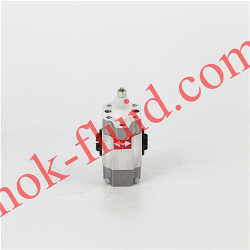 HPI GEAR PUMP P3AAN0075FL20B01N C5082379