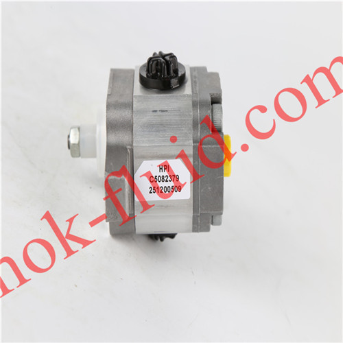 HPI GEAR PUMP P3AAN0075FL20B01N C5082379