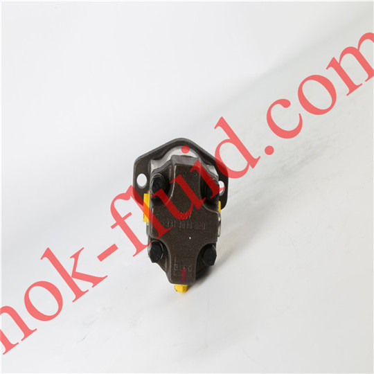 PARKER Hydraulic Motor 3319210088 PGM505C0030AJ1H1V