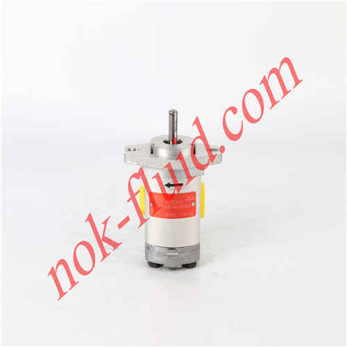 ARGO-HYTOS GEAR PUMP GP1-4.8R-SAVC-SGCGB-N 2879249