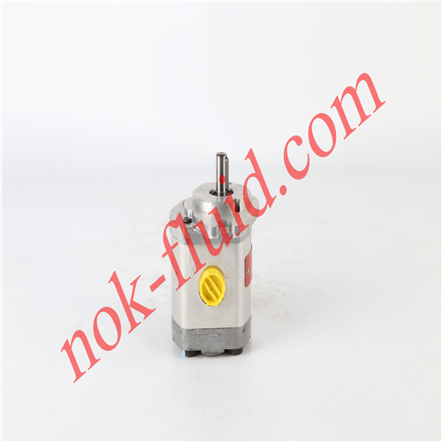 ARGO-HYTOS GEAR PUMP GP1-4.8R-SAVC-SGCGB-N 2879249