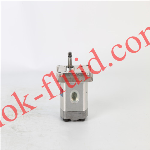 JIHOSTROJ Gear Pump  P23-4.4R-R02C02-SG02G02-N 1879954