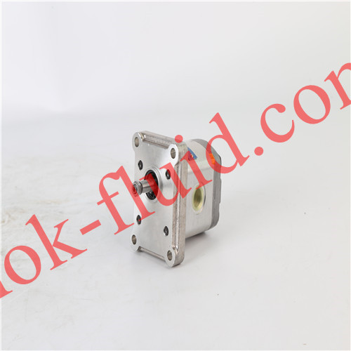 JIHOSTROJ Gear Pump  P23-4.4R-R02C02-SG02G02-N 1879954