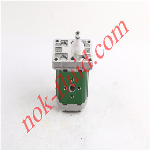 VIVOIL GEAR PUMP X1P2902FIIA 4.9cc