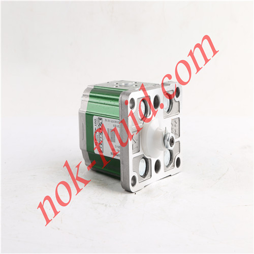 VIVOIL GEAR PUMP X1P2902FIIA 4.9cc
