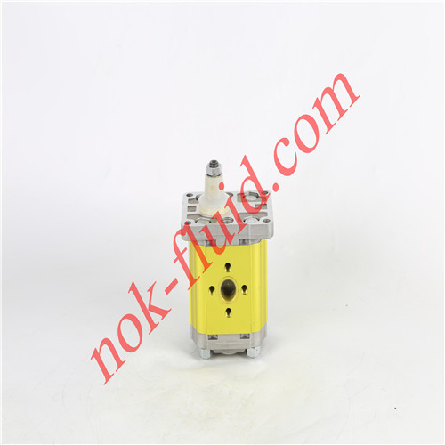 Vivoil Gear Pump X2P5502EPOA 22cc