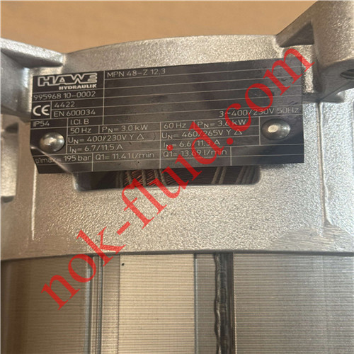 HAWE Motor MPN48-Z12.3 3.6KW with Bondioli Pump HPLPA208SMNG4G4BHY