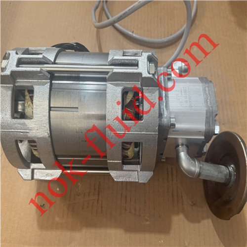 HAWE Motor MPN48-Z12.3 3.6KW with Bondioli Pump HPLPA208SMNG4G4BHY
