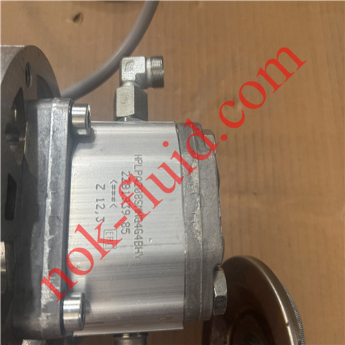 HAWE Motor MPN48-Z12.3 3.6KW with Bondioli Pump HPLPA208SMNG4G4BHY