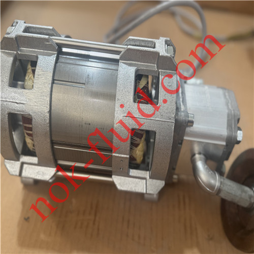 HAWE Motor MPN48-Z12.3 3.6KW with Bondioli Pump HPLPA208SMNG4G4BHY