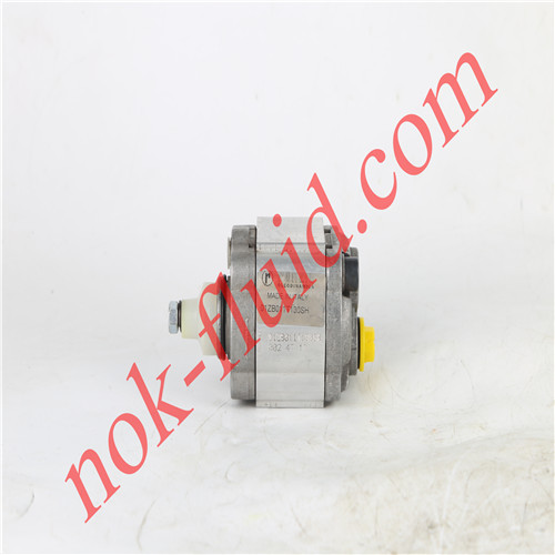 RONZIO GEAR PUMP 01ZB011T130SH