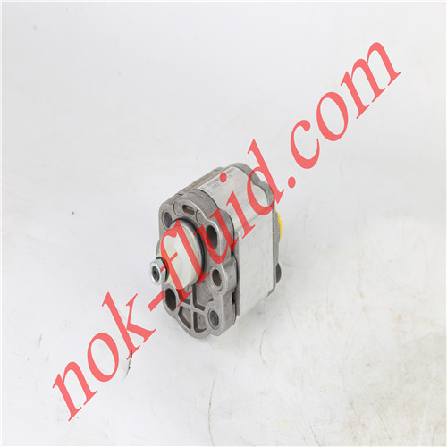 RONZIO GEAR PUMP 01ZB011T130SH