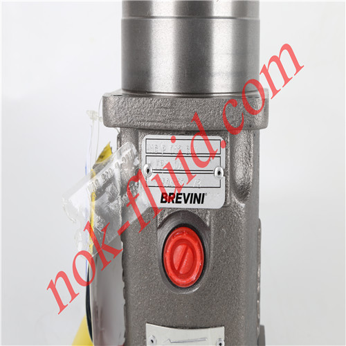 BREVINI Piston Pump  H1C-P-012-ME-OA-CAV-FP1-DX-N-XXXX-000-XX-XX-XX