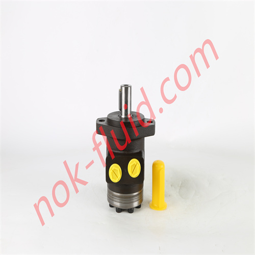 BREVINI Hydraulic Motor BG080S2ACL250M08