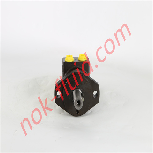 BREVINI Hydraulic Motor BG080S2ACL250M08