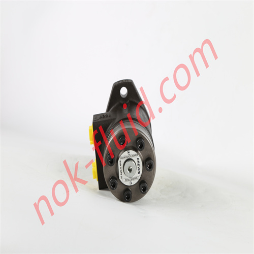 BREVINI Hydraulic Motor BG080S2ACL250M08