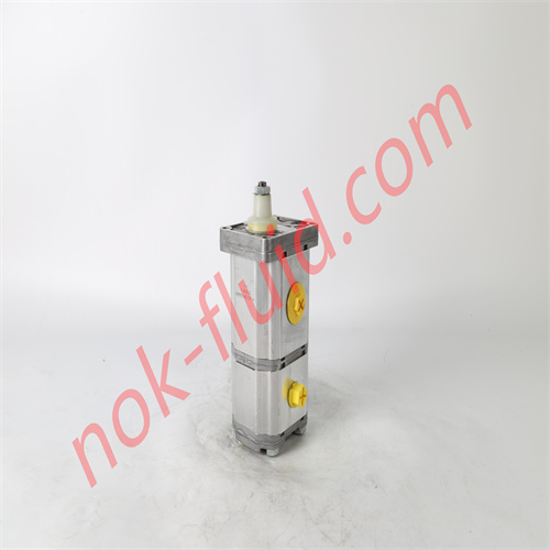 BONDIOLI GEAR PUMP HPLPB226DMLG6G6BDD