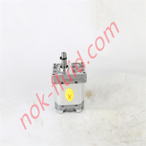 BONDIOLI & PAVESI GEAR PUMP HPLPA205SMNG4G4BHY