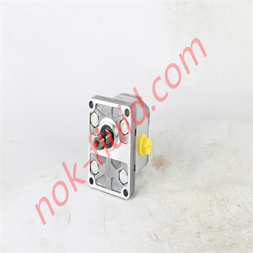BONDIOLI & PAVESI GEAR PUMP HPLPA205SMNG4G4BHY