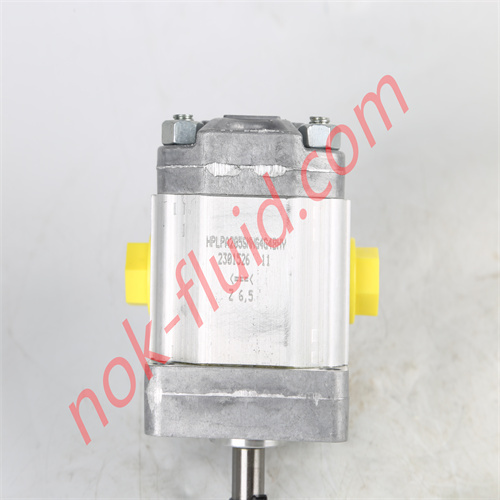 BONDIOLI & PAVESI GEAR PUMP HPLPA205SMNG4G4BHY