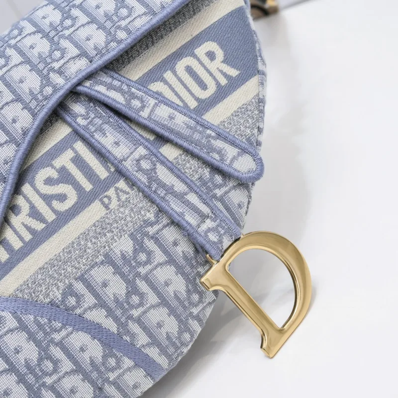 Dior Saddle bag-D010
